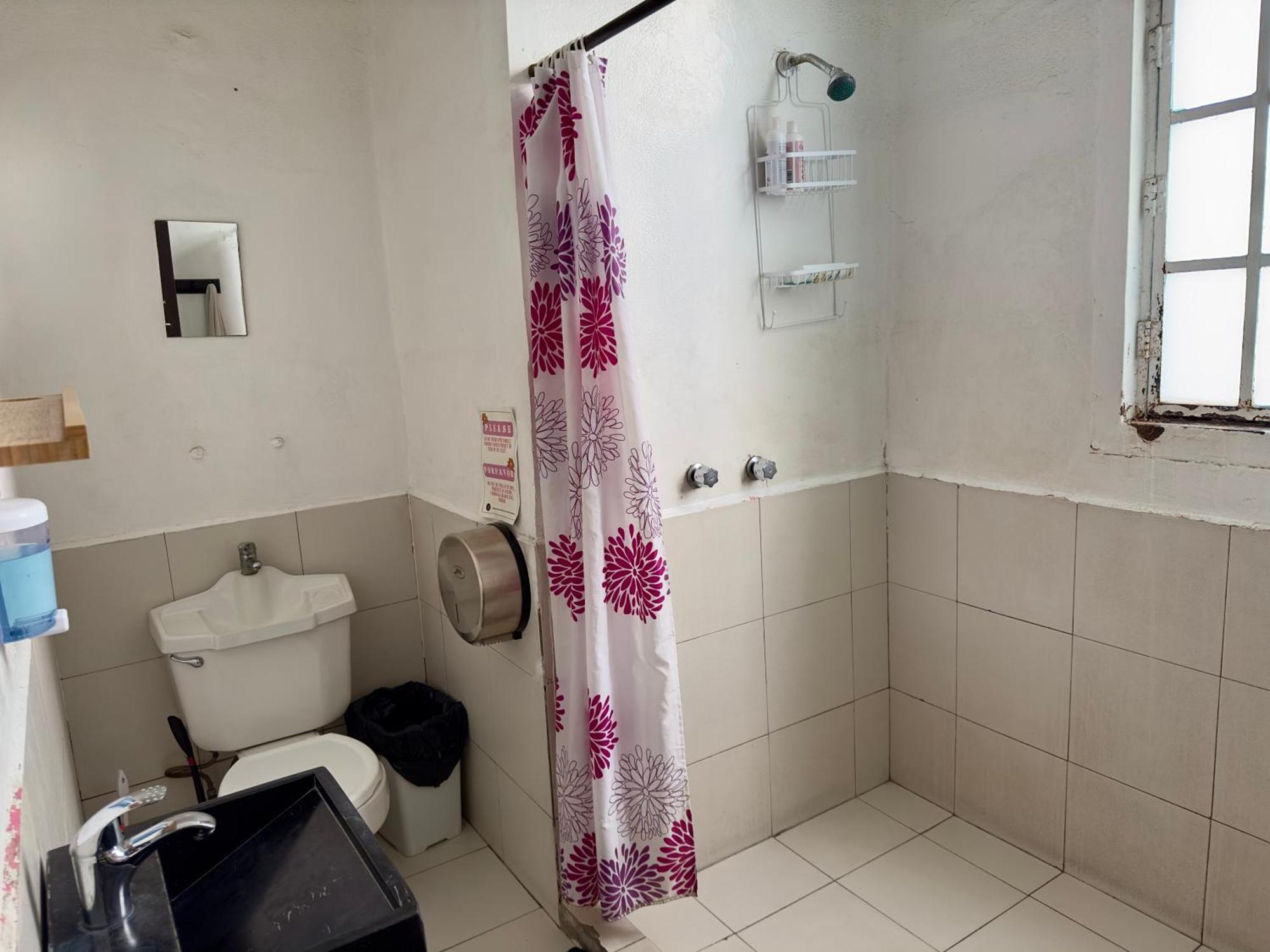 Massiosare El Hostal Мексико Сити Стая снимка